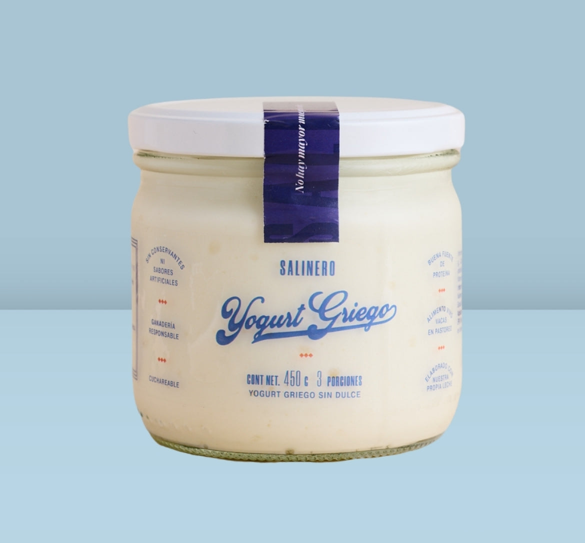 Yogurt Griego Artesanal Salinero 450gr